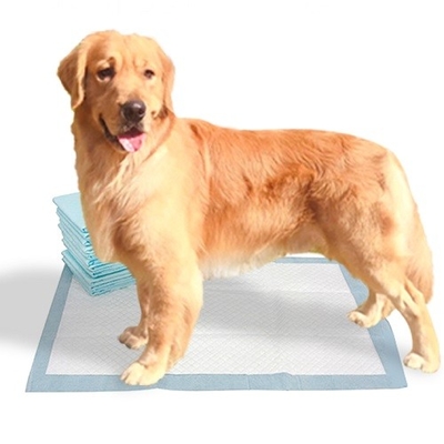 กระดาษทิชชู่ Fluff Pulp SAP แผ่นรองสัตว์เลี้ยงแบบใช้แล้วทิ้งสำหรับสุนัข