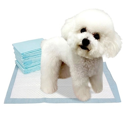 Agility Training แผ่นรองสัตว์เลี้ยงแบบใช้แล้วทิ้ง สีขาว 45x60cm 33x45cm 60x60cm