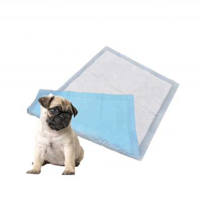 PE Backsheet 60x90cm แผ่นรองสัตว์เลี้ยงแบบใช้แล้วทิ้งพร้อมพอลิเมอร์ดูดซับสูง